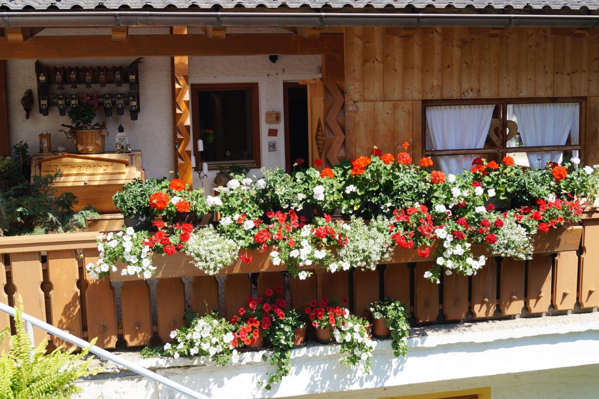 Thalerhof Apartment ซานลอเรนโซดิเซบาโต ภายนอก รูปภาพ